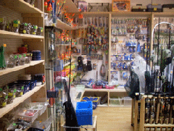 shop2